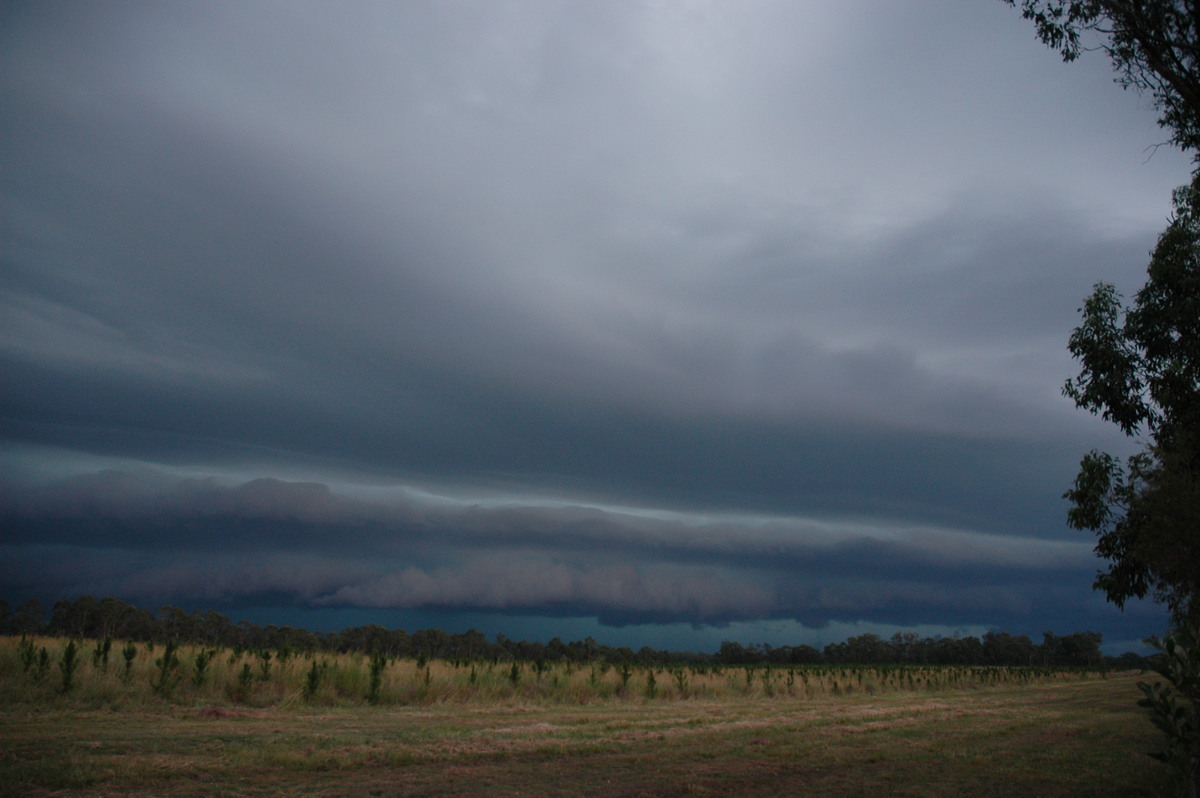 shelfcloud shelf_cloud : Rappville, NSW   22 January 2005