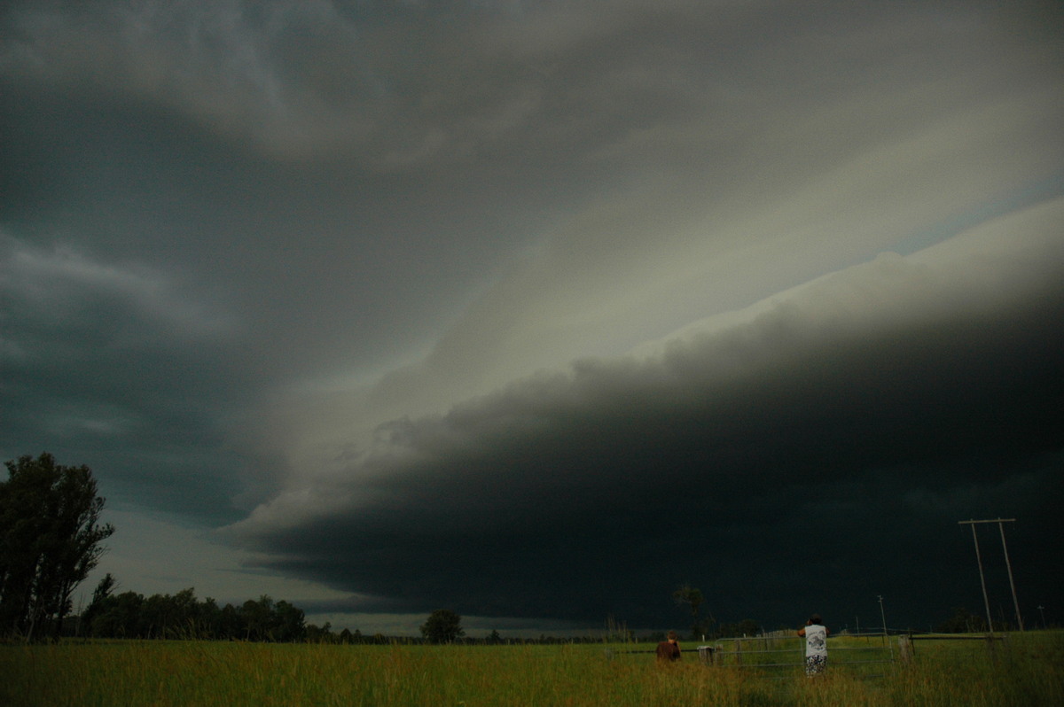 shelfcloud shelf_cloud : S of Casino, NSW   22 January 2005