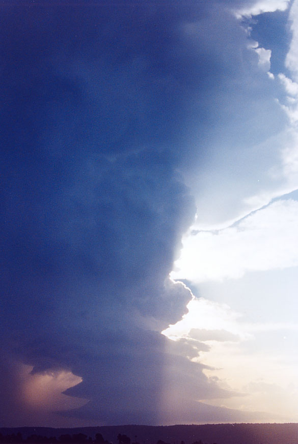 updraft thunderstorm_updrafts : Penrith, NSW   1 February 2005