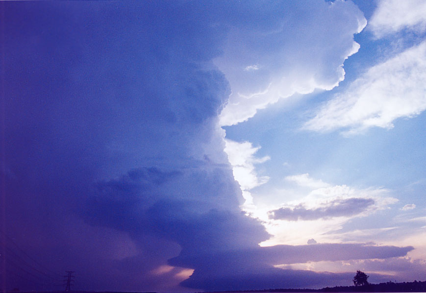 cumulonimbus supercell_thunderstorm : Penrith, NSW   1 February 2005