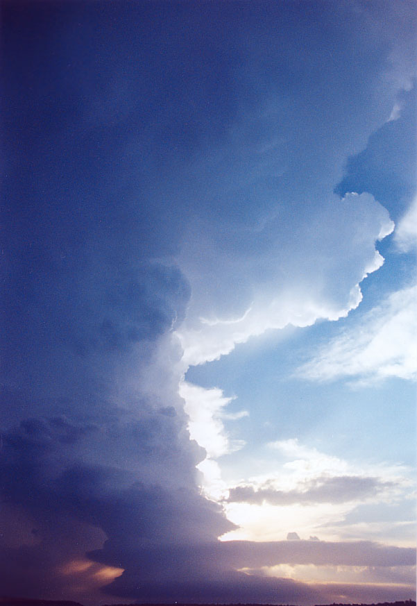 inflowband thunderstorm_inflow_band : Penrith, NSW   1 February 2005