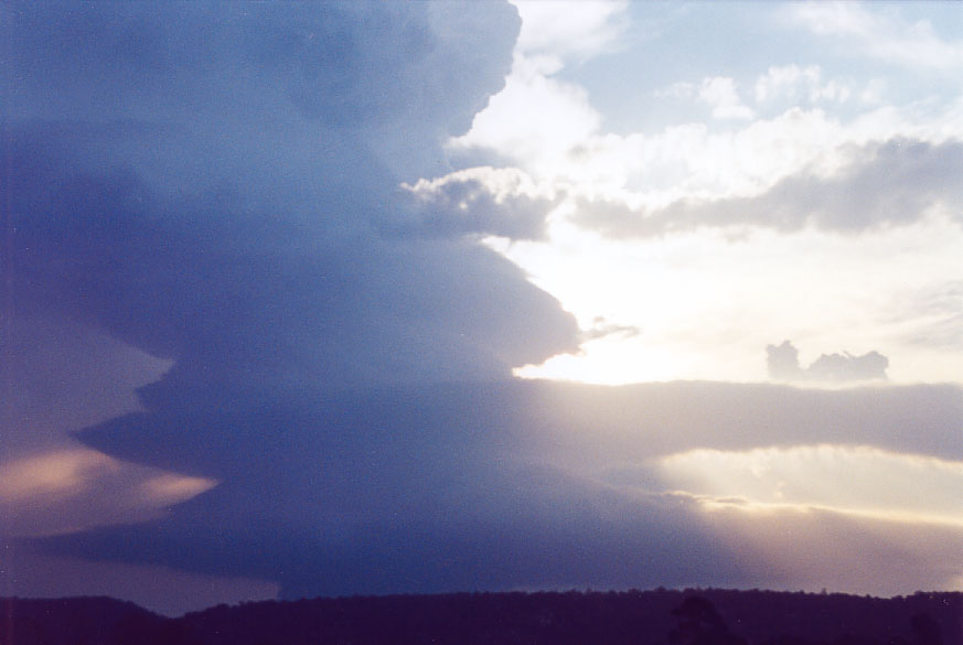 updraft thunderstorm_updrafts : Penrith, NSW   1 February 2005