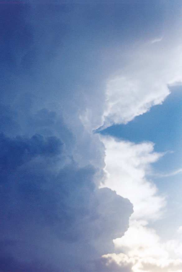 cumulonimbus supercell_thunderstorm : Penrith, NSW   1 February 2005