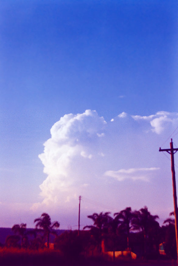 thunderstorm cumulonimbus_incus : Penrith, NSW   1 February 2005