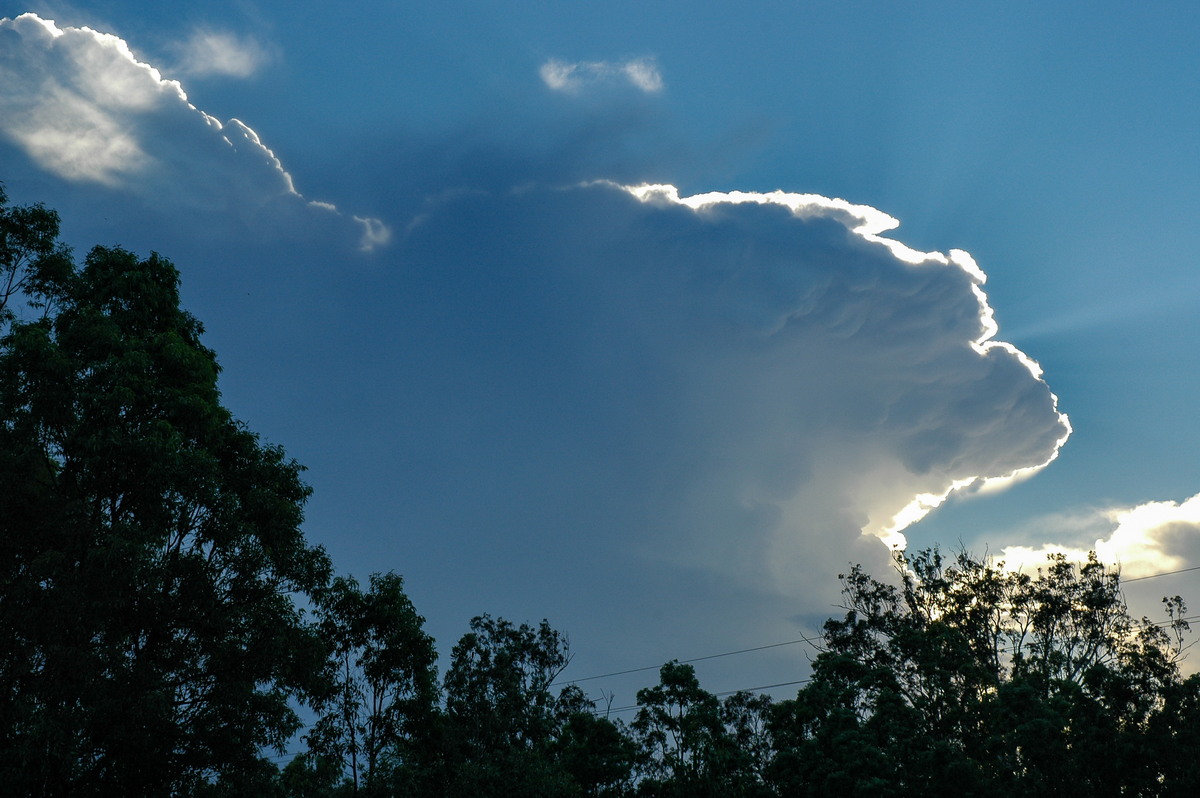 anvil thunderstorm_anvils : Whiporie, NSW   2 February 2005