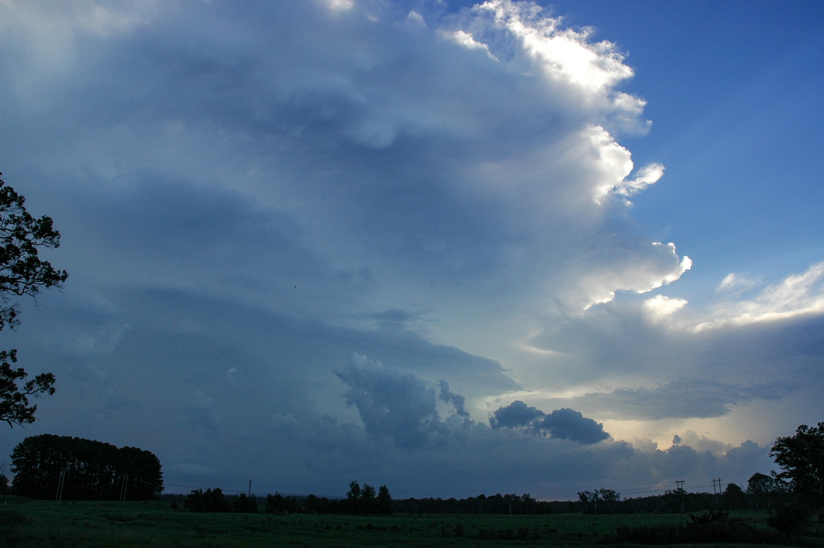 cumulonimbus thunderstorm_base : Whiporie, NSW   2 February 2005