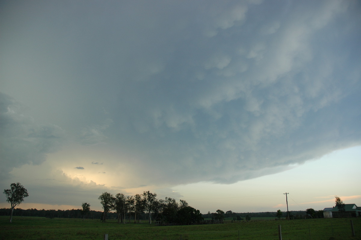 mammatus mammatus_cloud : Whiporie, NSW   2 February 2005