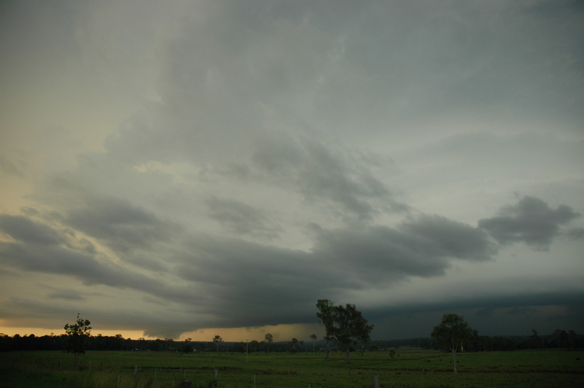 cumulonimbus thunderstorm_base : Whiporie, NSW   2 February 2005