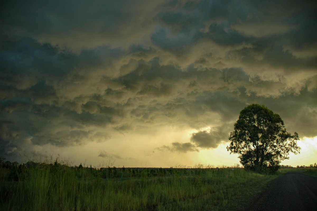 shelfcloud shelf_cloud : Rappville, NSW   2 February 2005