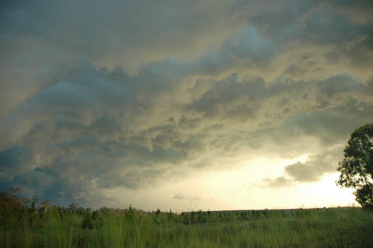 shelfcloud shelf_cloud : Rappville, NSW   2 February 2005