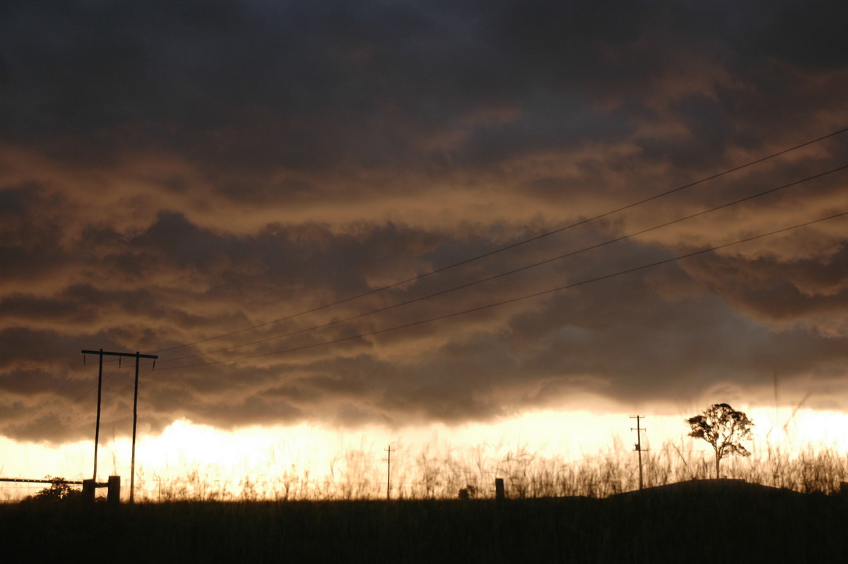 shelfcloud shelf_cloud : S of Casino, NSW   2 February 2005