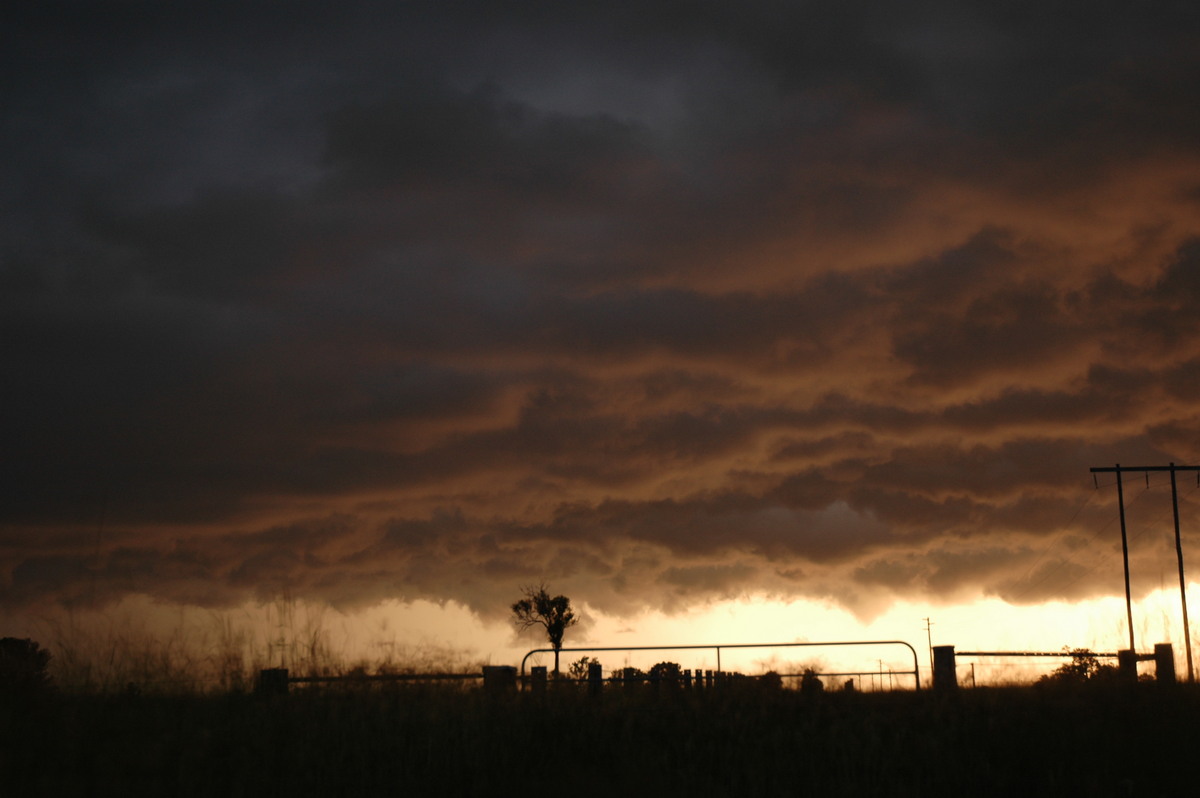 sunset sunset_pictures : S of Casino, NSW   2 February 2005