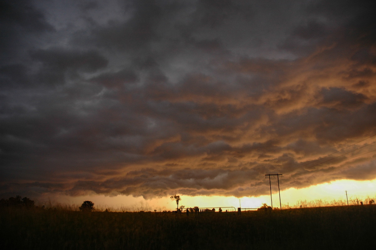 sunset sunset_pictures : S of Casino, NSW   2 February 2005