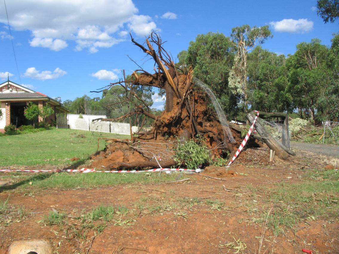 disasters storm_damage : Marsden Park, NSW   5 February 2005