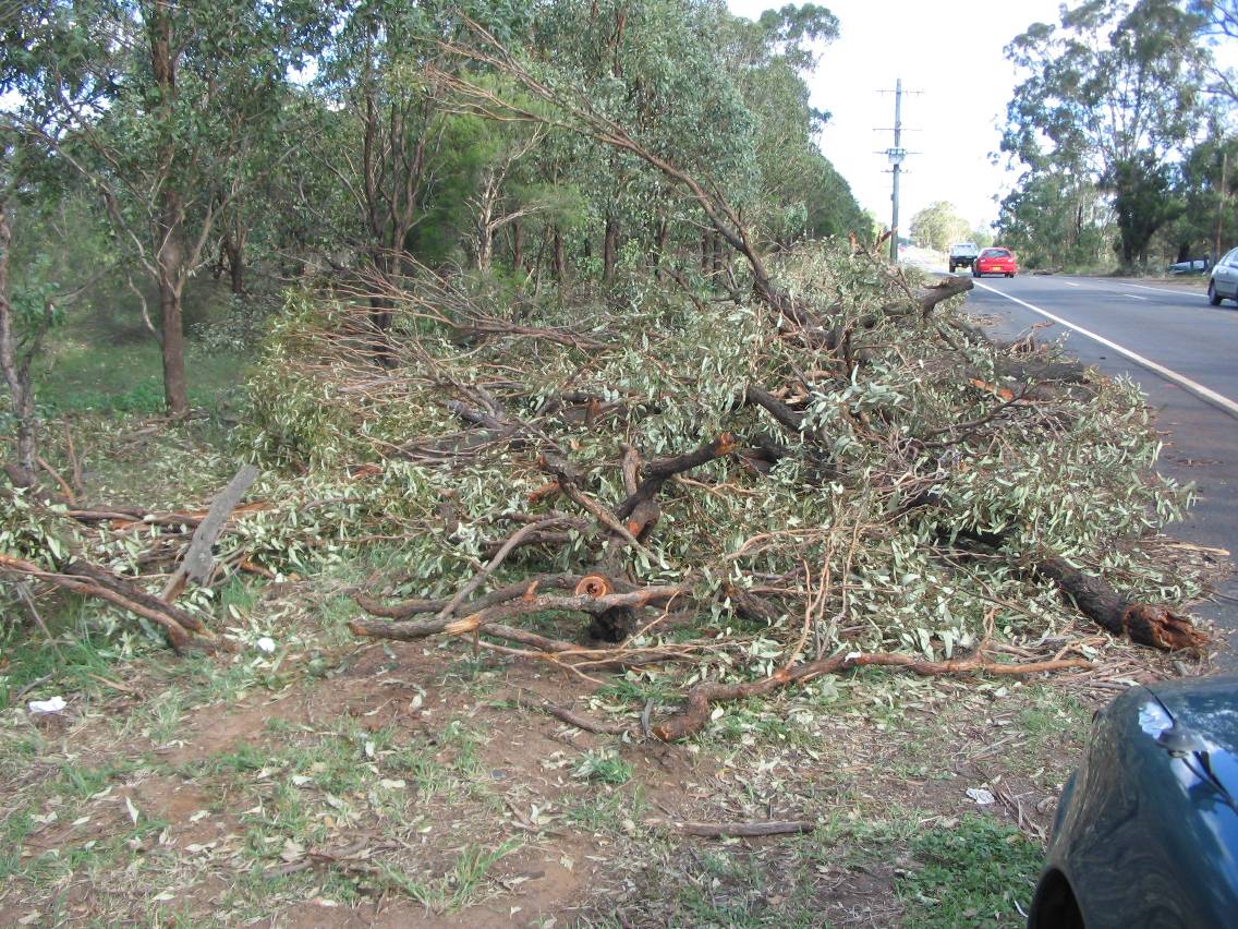 disasters storm_damage : Marsden Park, NSW   5 February 2005