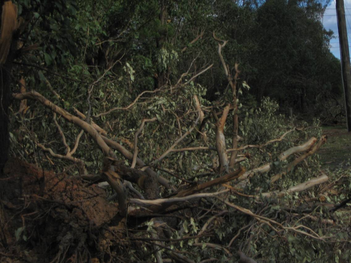 disasters storm_damage : Marsden Park, NSW   5 February 2005