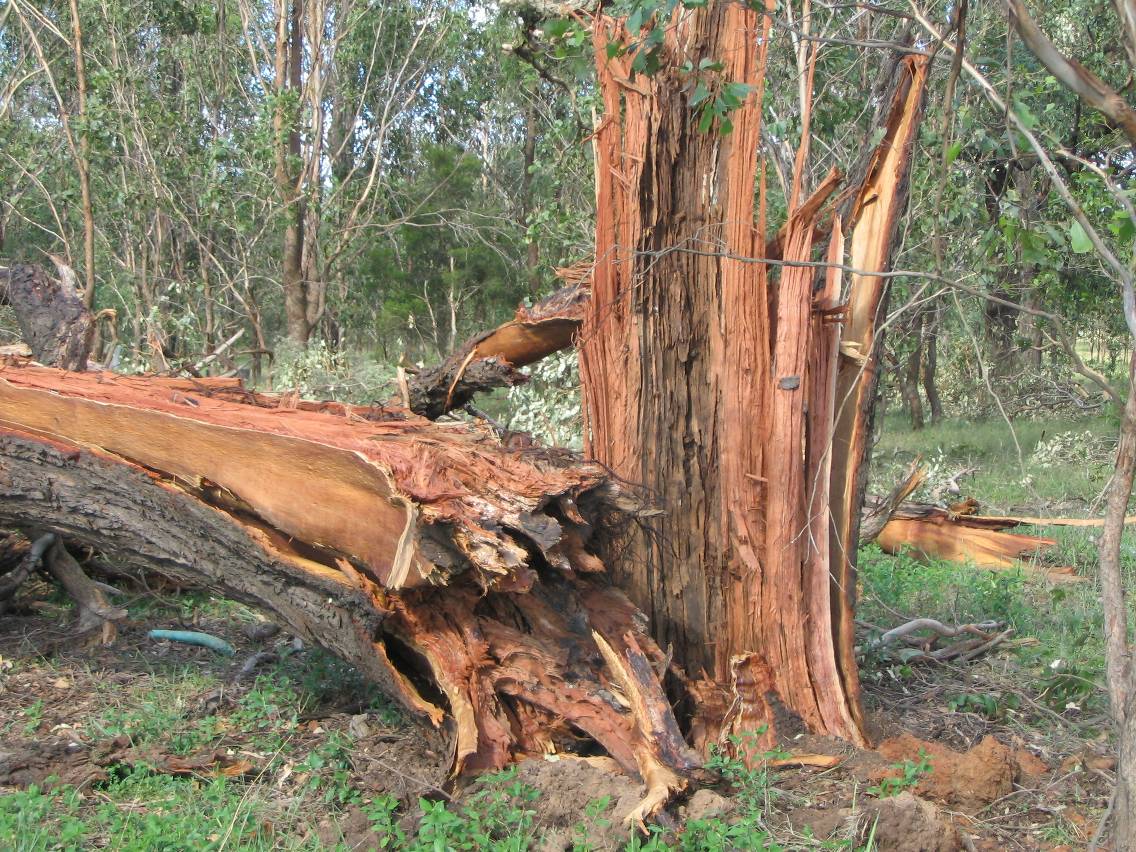 disasters storm_damage : Marsden Park, NSW   5 February 2005