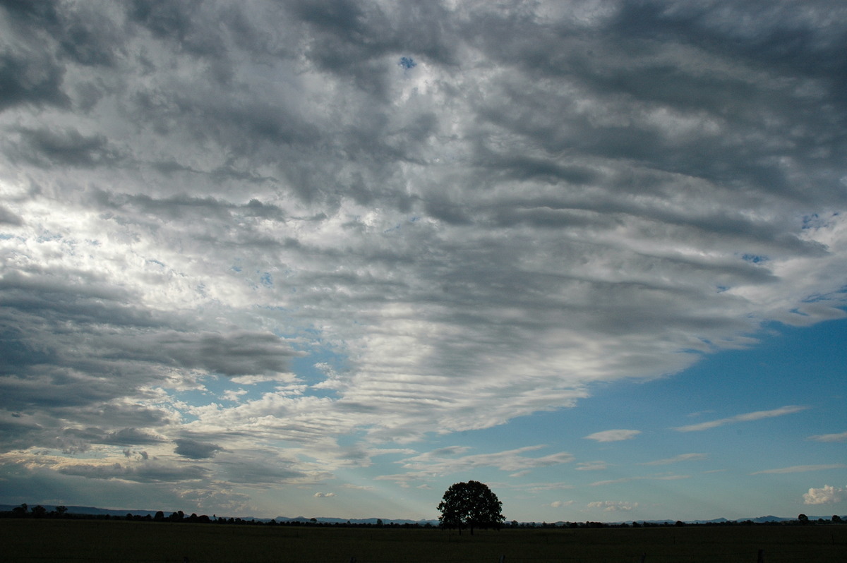 altocumulus undulatus : McLeans Ridges, NSW   16 February 2005