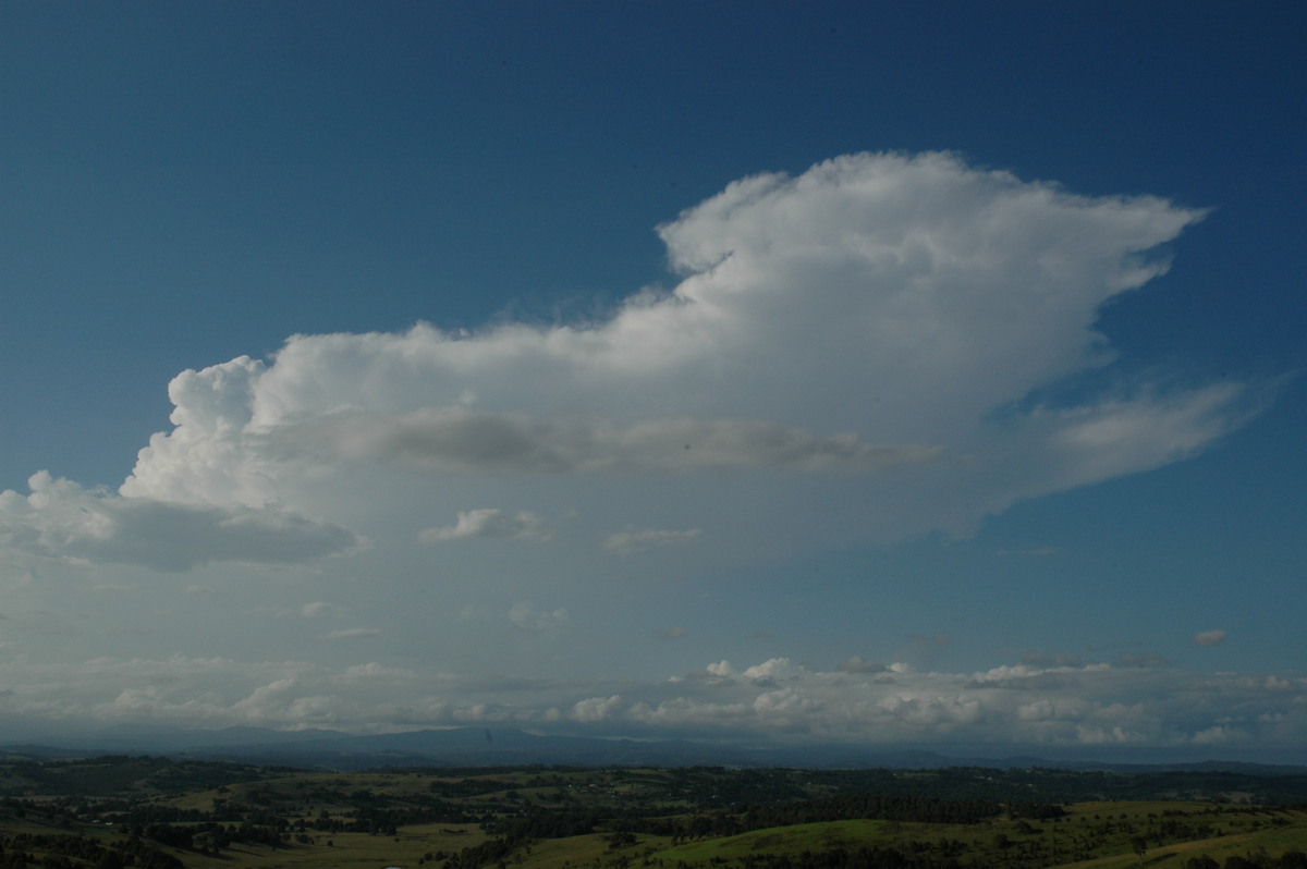 anvil thunderstorm_anvils : McLeans Ridges, NSW   17 February 2005