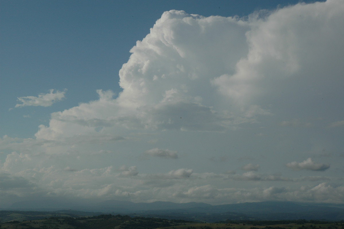 updraft thunderstorm_updrafts : McLeans Ridges, NSW   17 February 2005