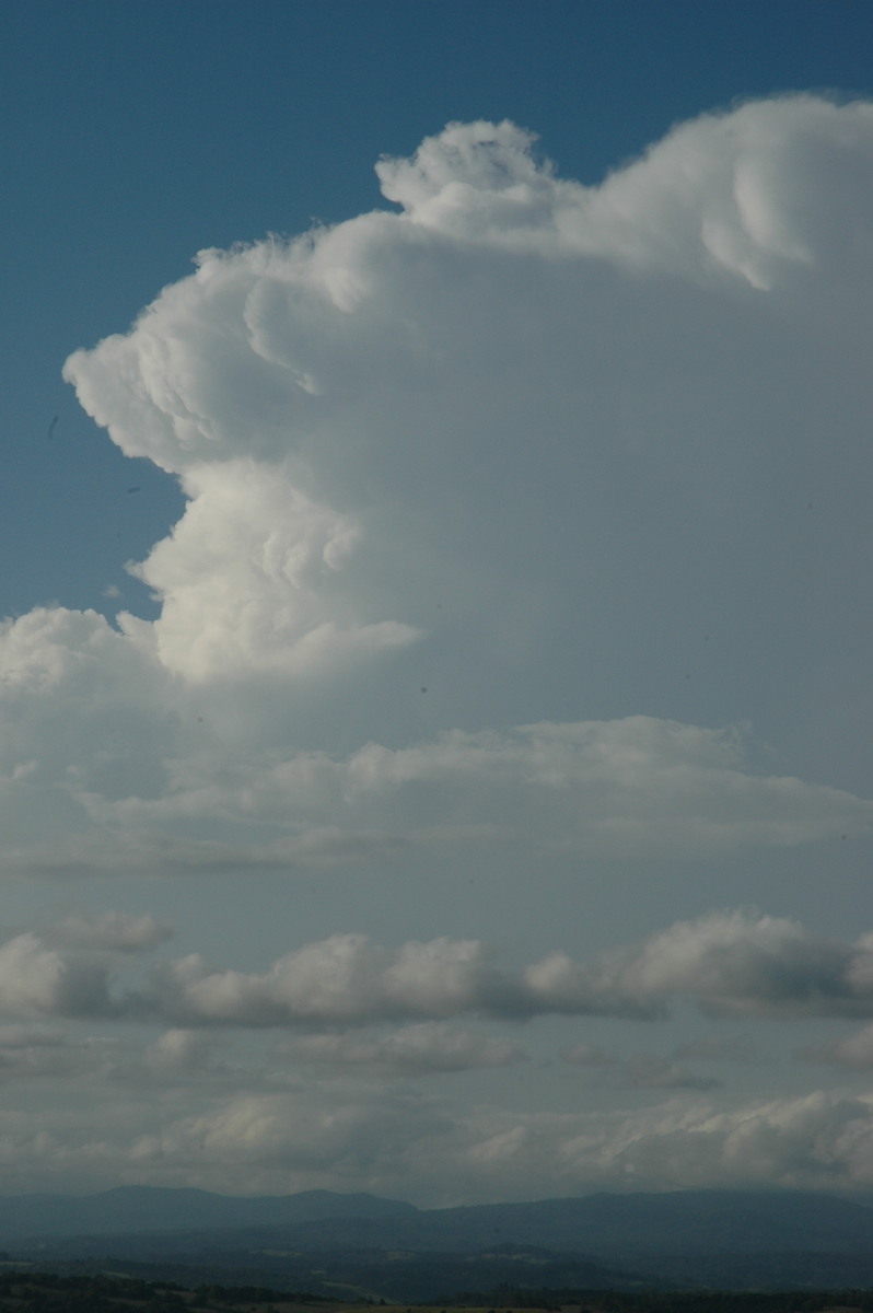 updraft thunderstorm_updrafts : McLeans Ridges, NSW   17 February 2005