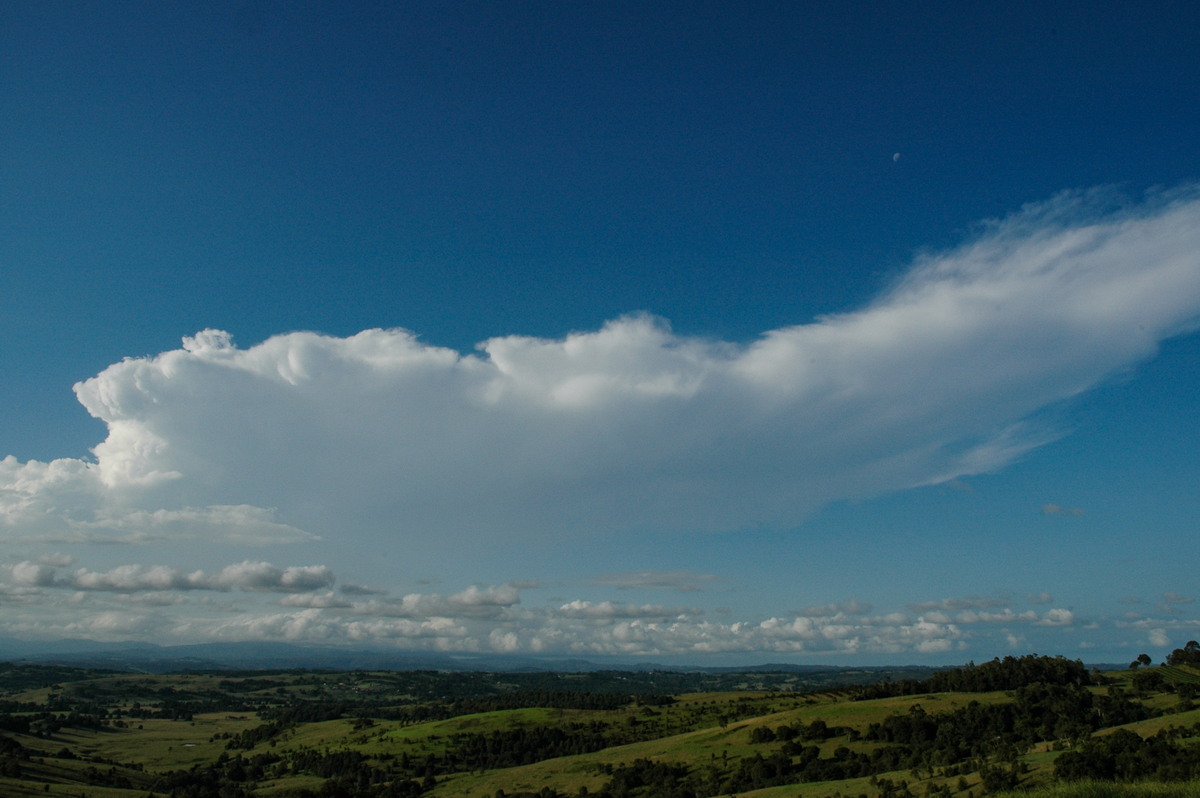 anvil thunderstorm_anvils : McLeans Ridges, NSW   17 February 2005