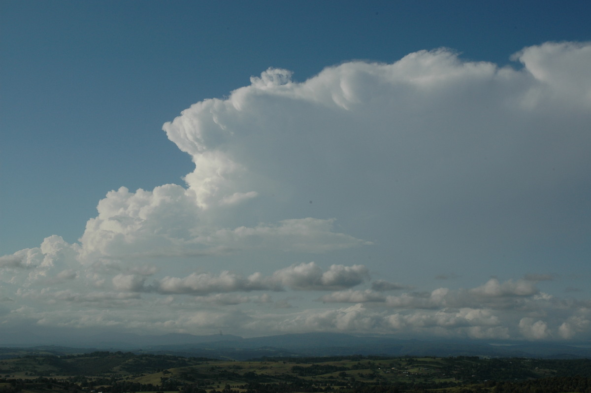 thunderstorm cumulonimbus_incus : McLeans Ridges, NSW   17 February 2005