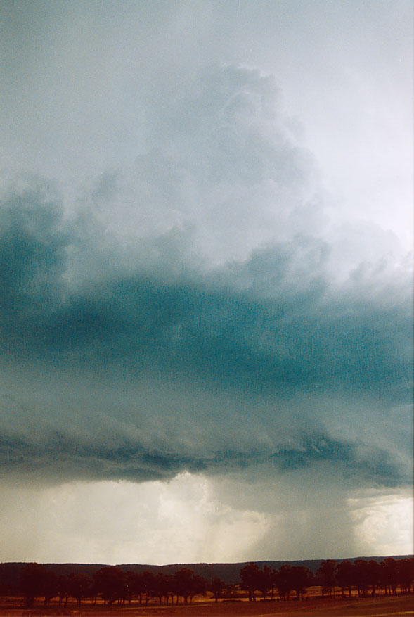 shelfcloud shelf_cloud : Castlereagh, NSW   19 February 2005