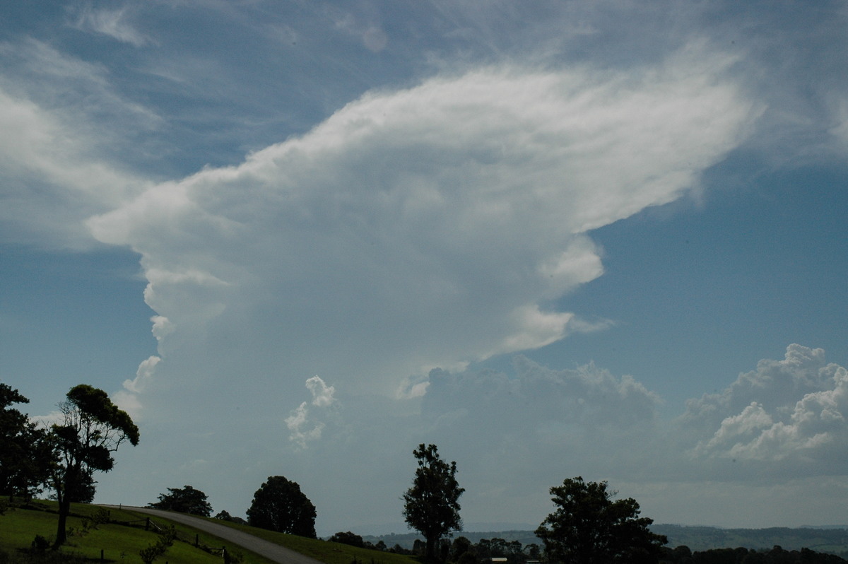 anvil thunderstorm_anvils : McLeans Ridges, NSW   22 February 2005