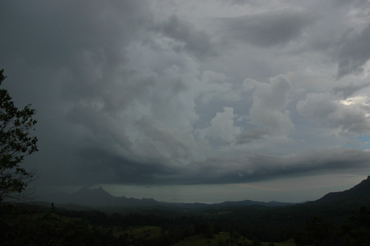 inflowband thunderstorm_inflow_band : near Kyogle, NSW   22 February 2005