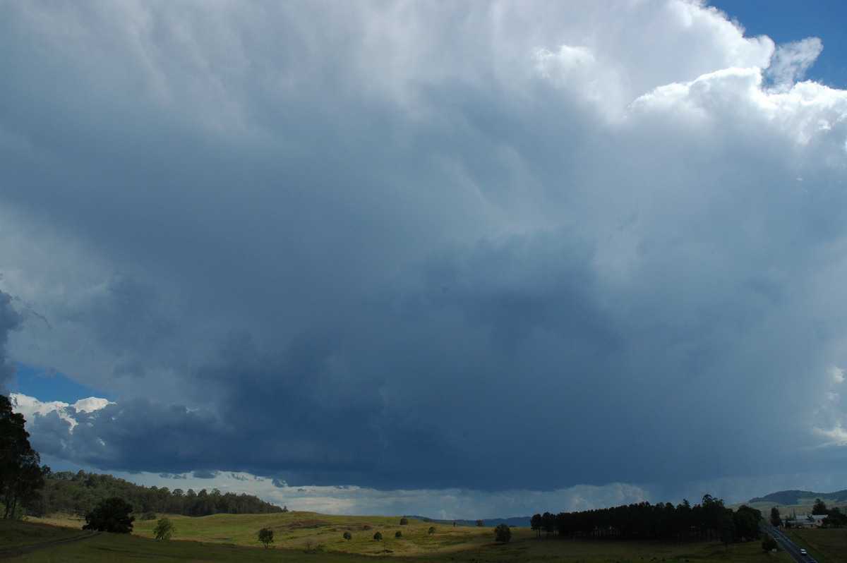 thunderstorm cumulonimbus_incus : Mummulgum, NSW   10 March 2005