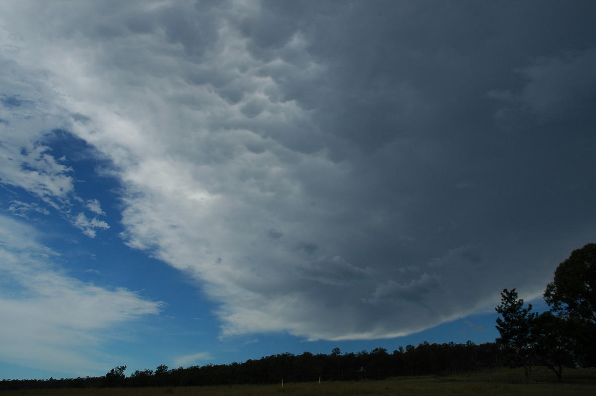 mammatus mammatus_cloud : Mummulgum, NSW   10 March 2005