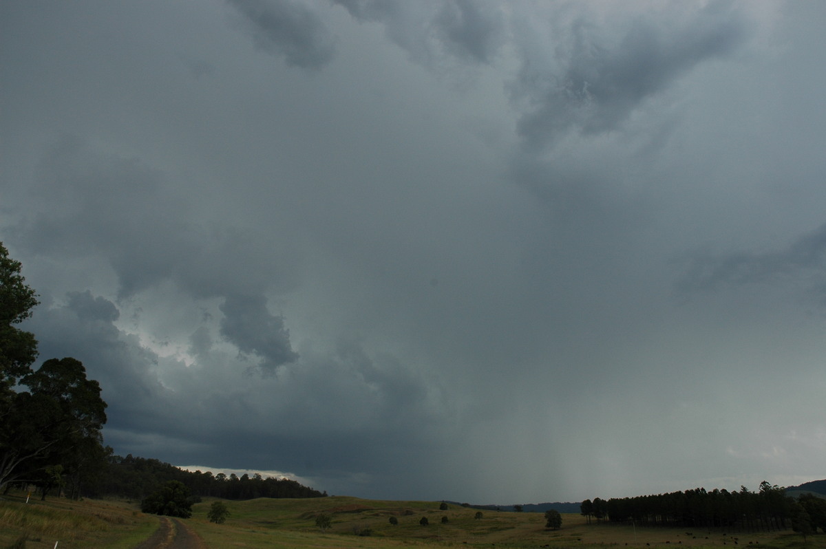 raincascade precipitation_cascade : Mummulgum, NSW   10 March 2005