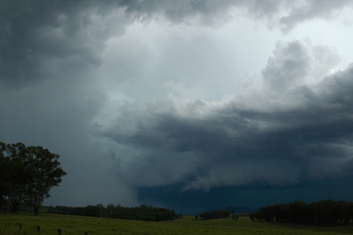 cumulonimbus thunderstorm_base : near Tabulam, NSW   10 March 2005