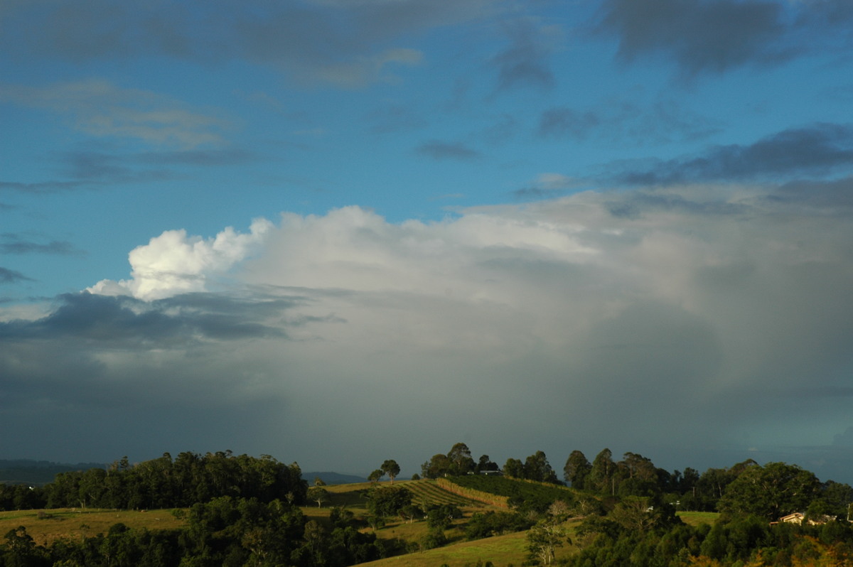 raincascade precipitation_cascade : McLeans Ridges, NSW   15 March 2005