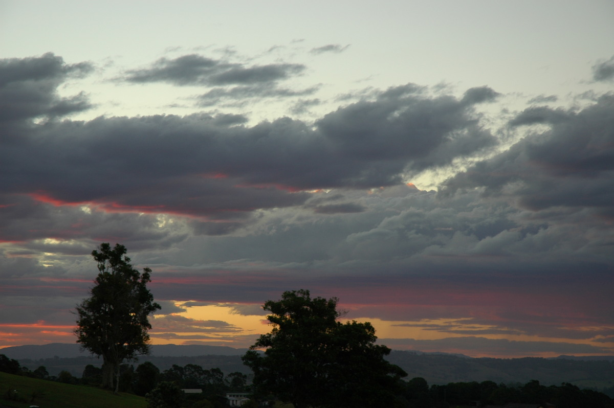 sunset sunset_pictures : McLeans Ridges, NSW   23 March 2005