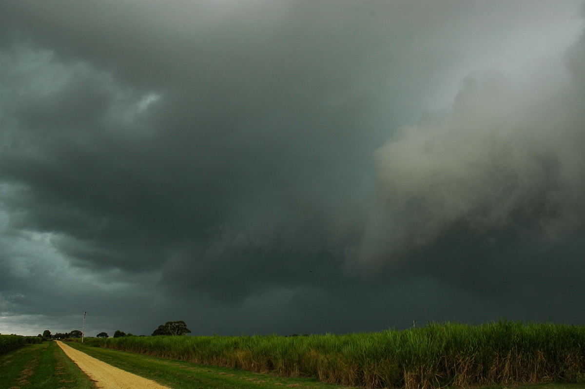 cumulonimbus thunderstorm_base : near Coraki, NSW   26 March 2005