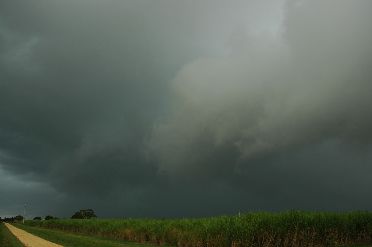 cumulonimbus thunderstorm_base : near Coraki, NSW   26 March 2005