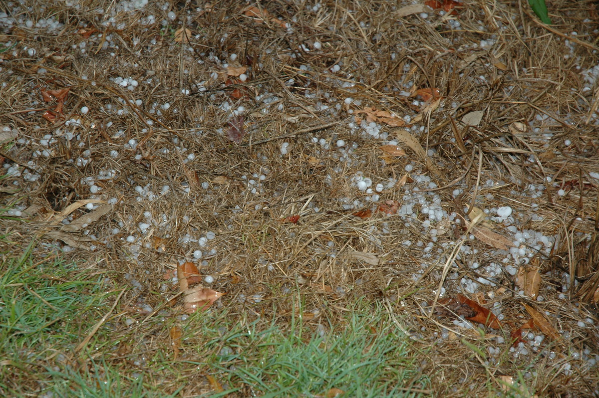 hailstones hail_stones : Broadwater, NSW   26 March 2005