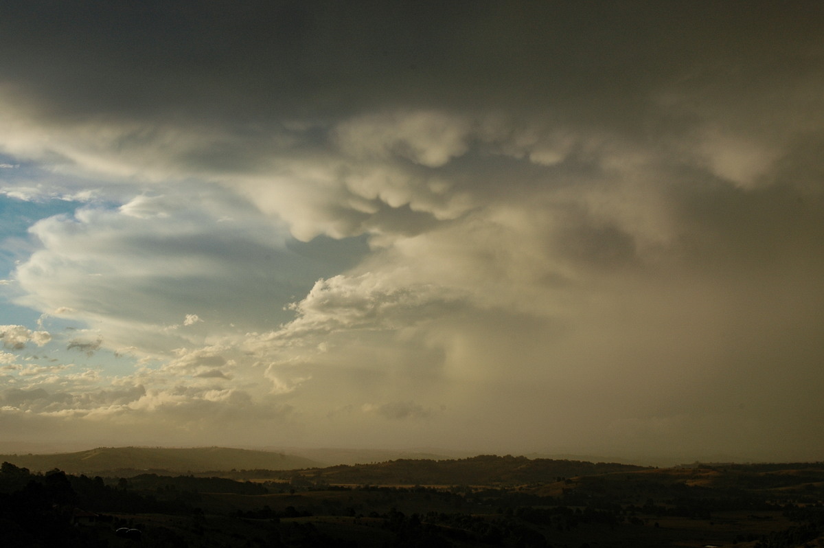 mammatus mammatus_cloud : McLeans Ridges, NSW   26 March 2005