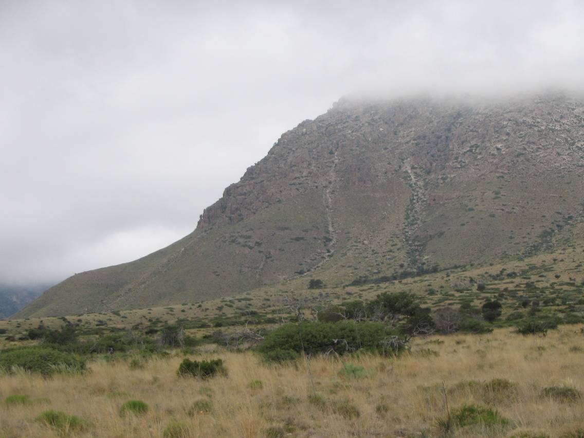 fogmist fog_mist_frost : Pine Springs, Texas, USA   15 May 2005