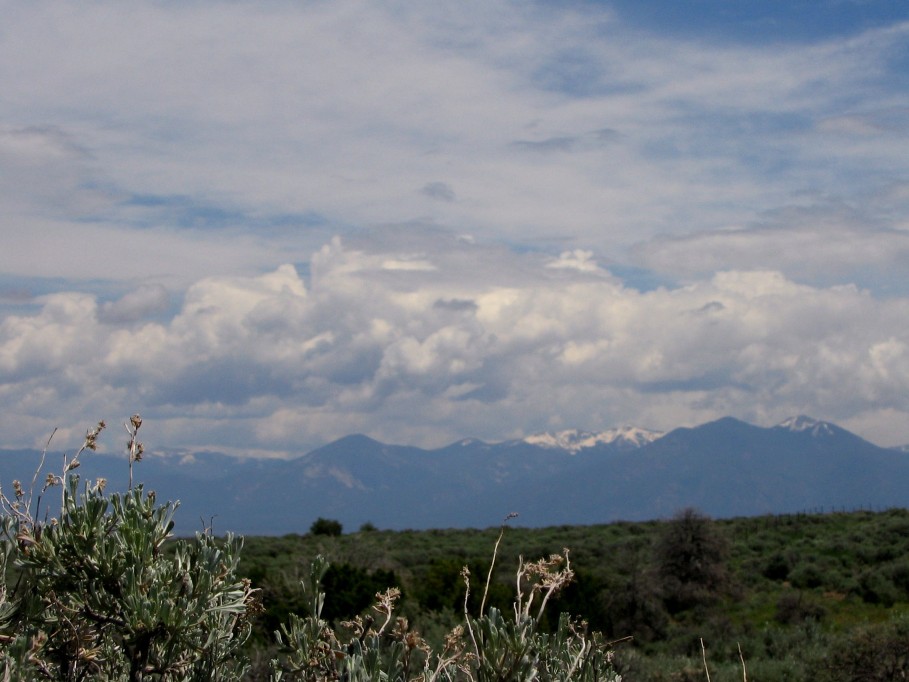 cumulus mediocris : S of Taos, New Mexico, USA   27 May 2005