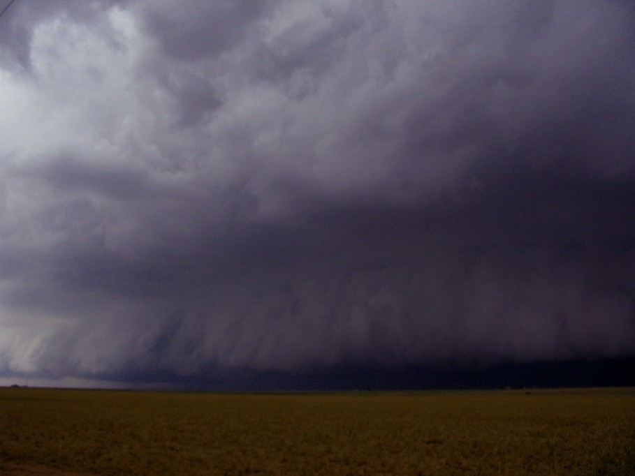 cumulonimbus supercell_thunderstorm : near Dimmit, Texas, USA   31 May 2005