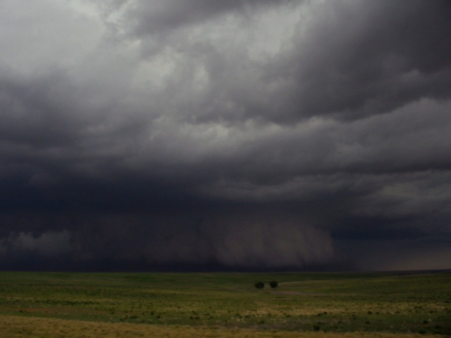 cumulonimbus supercell_thunderstorm : near Lindon, Colorado, USA   2 June 2005