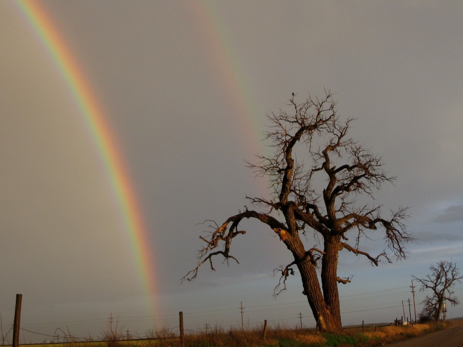 rainbow rainbow_pictures : Garden City, Kansas, USA   3 June 2005