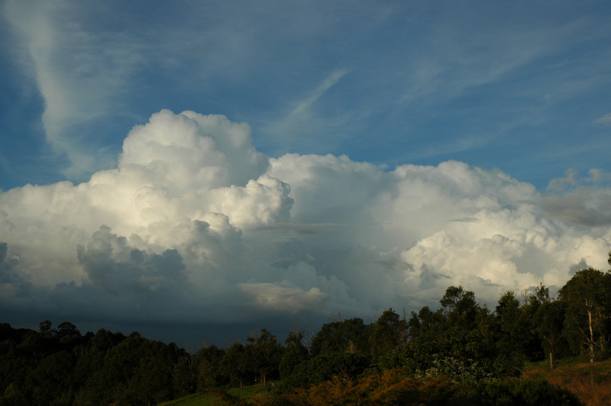 cirrus cirrus_cloud : McLeans Ridges, NSW   8 June 2005