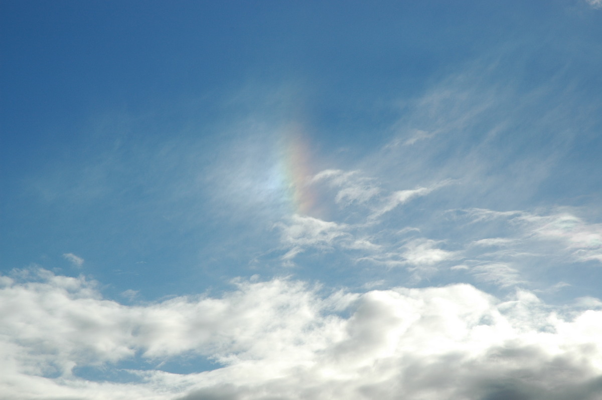 cirrus cirrus_cloud : McLeans Ridges, NSW   10 June 2005