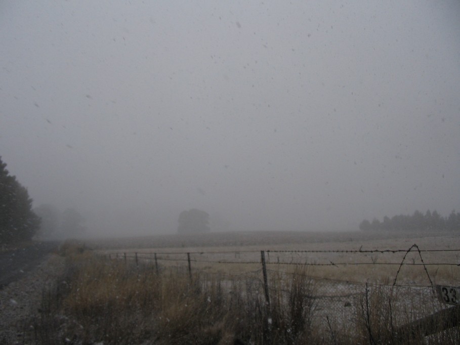 snow snow_pictures : near Oberon, NSW   22 June 2005