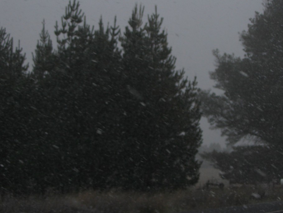 snow snow_pictures : near Oberon, NSW   22 June 2005