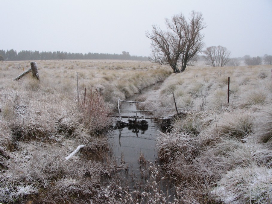 snow snow_pictures : near Oberon, NSW   23 June 2005